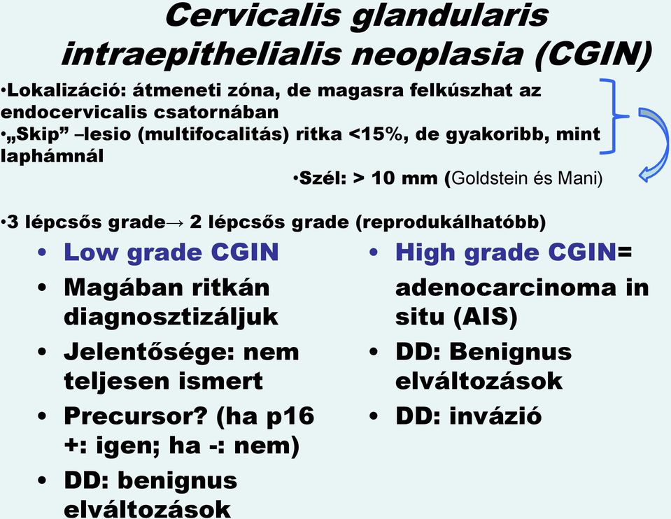 grade 2 lépcsős grade (reprodukálhatóbb) Low grade CGIN Magában ritkán diagnosztizáljuk Jelentősége: nem teljesen ismert