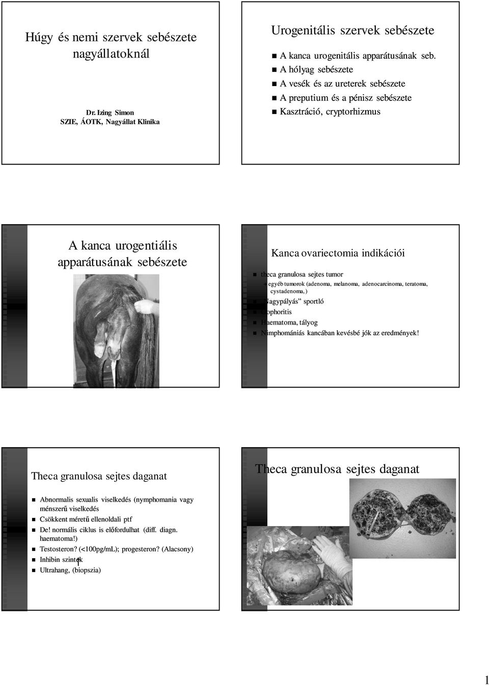 granulosa sejtes tumor + egyéb tumorok (adenoma, melanoma, adenocarcinoma, teratoma, cystadenoma, ) Nagypályás sportló Oophoritis Haematoma, tályog Nimphomániás kancában kevésbé jók az eredmények!