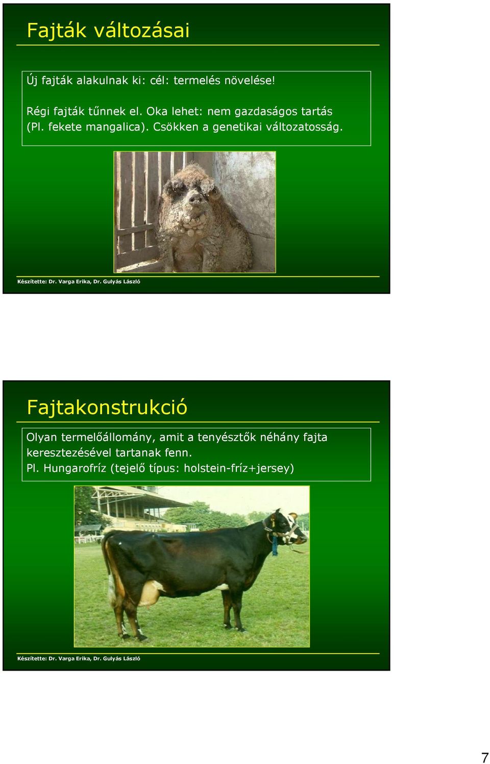 Általános állattenyésztés - PDF Free Download