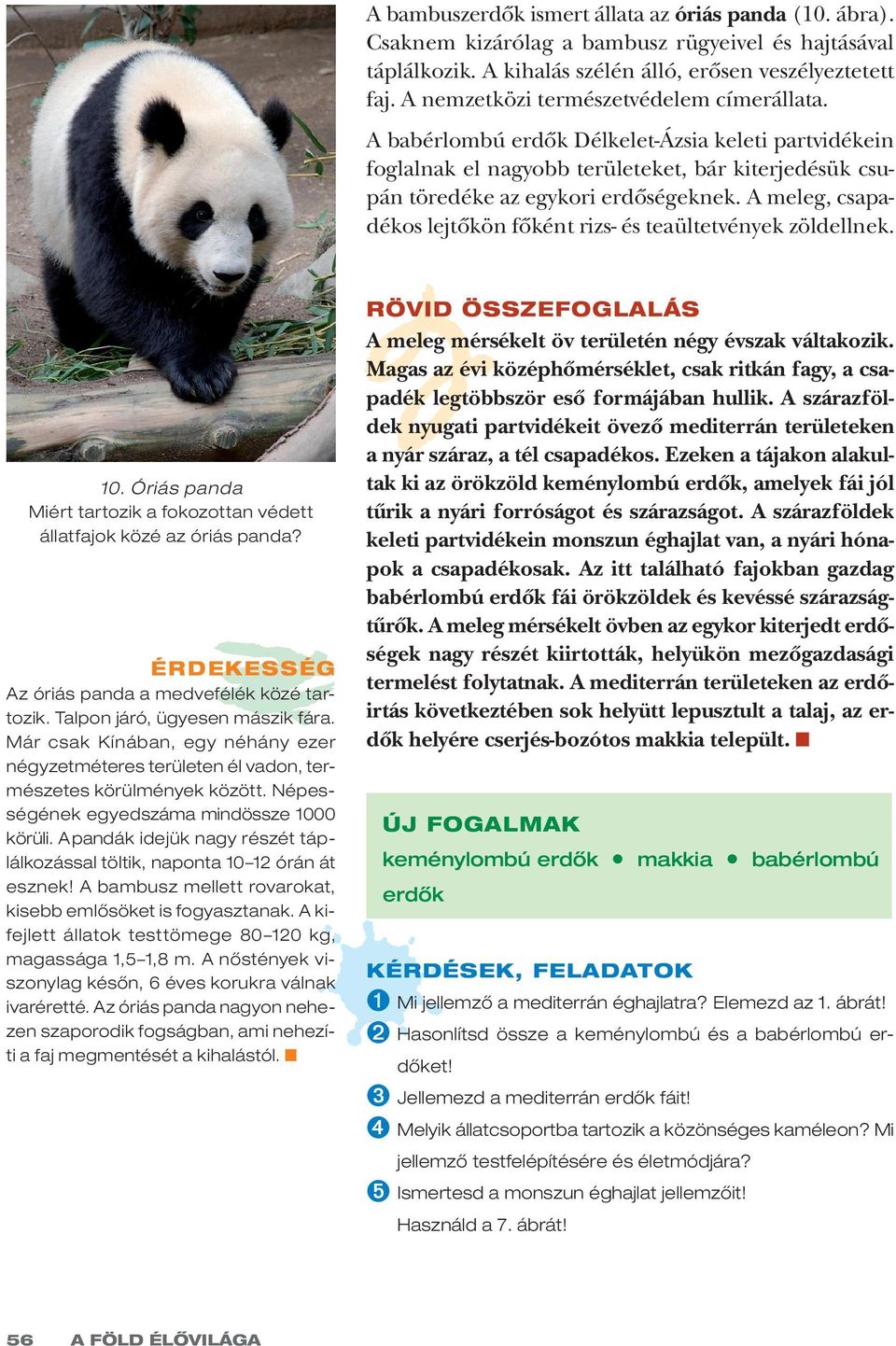 A meleg, csapadékos lejtõkön fõként rizs- és teaültetvények zöldellnek. 10. Óriás panda Miért tartozik a fokozottan védett állatfajok közé az óriás panda?