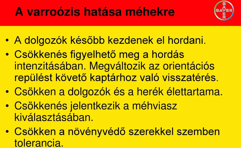 Megváltozik az orientációs repülést követő kaptárhoz való visszatérés.