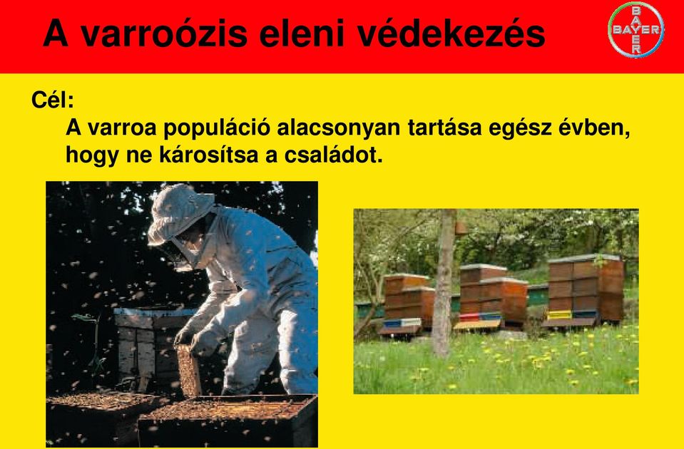 alacsonyan tartása egész