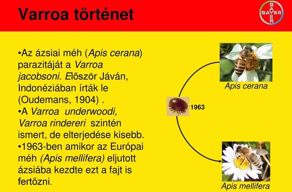 A Varroa underwoodi, Varroa rindereri szintén ismert, de elterjedése kisebb.