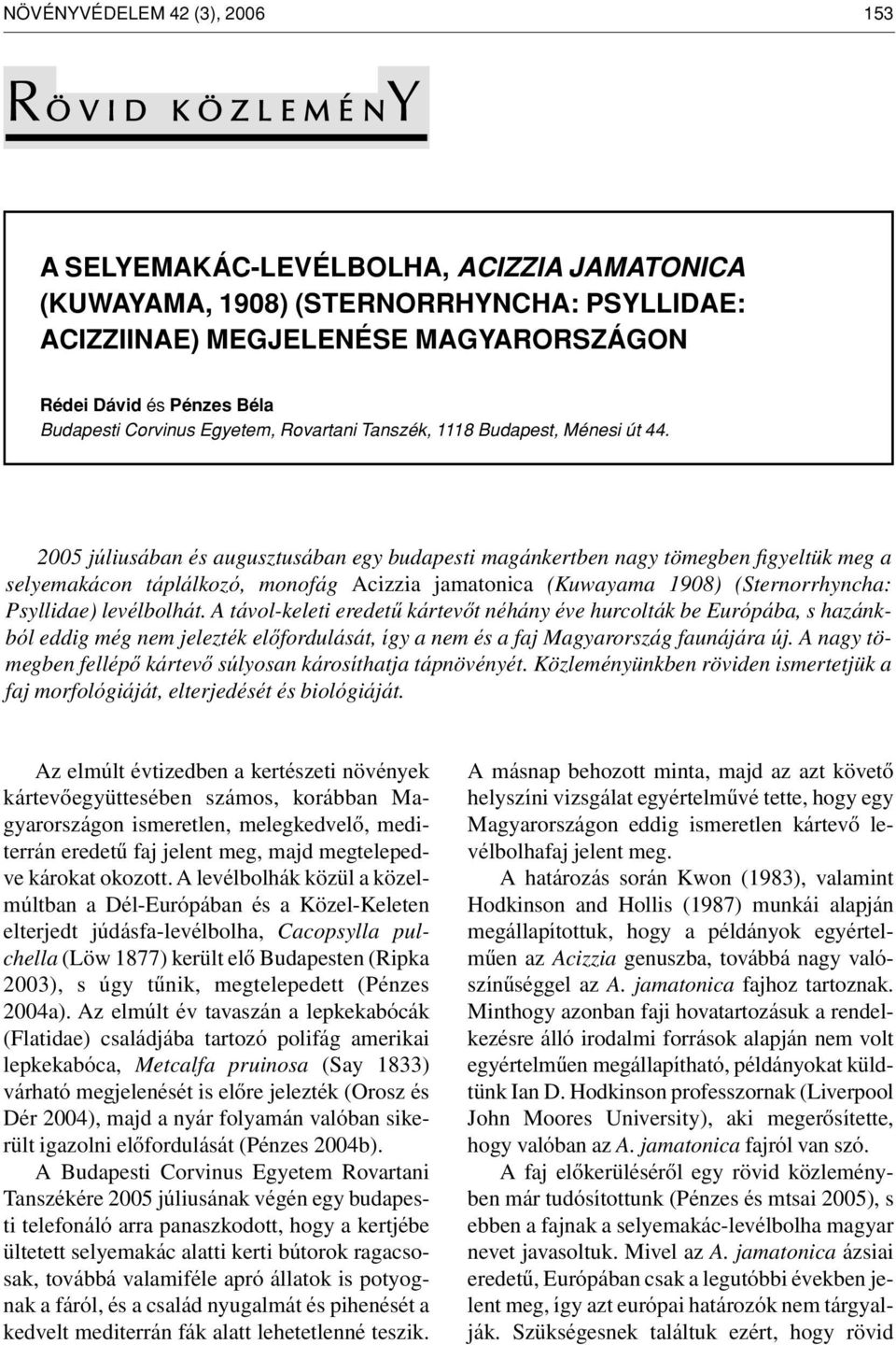 2005 júliusában és augusztusában egy budapesti magánkertben nagy tömegben figyeltük meg a selyemakácon táplálkozó, monofág Acizzia jamatonica (Kuwayama 1908) (Sternorrhyncha: Psyllidae) levélbolhát.