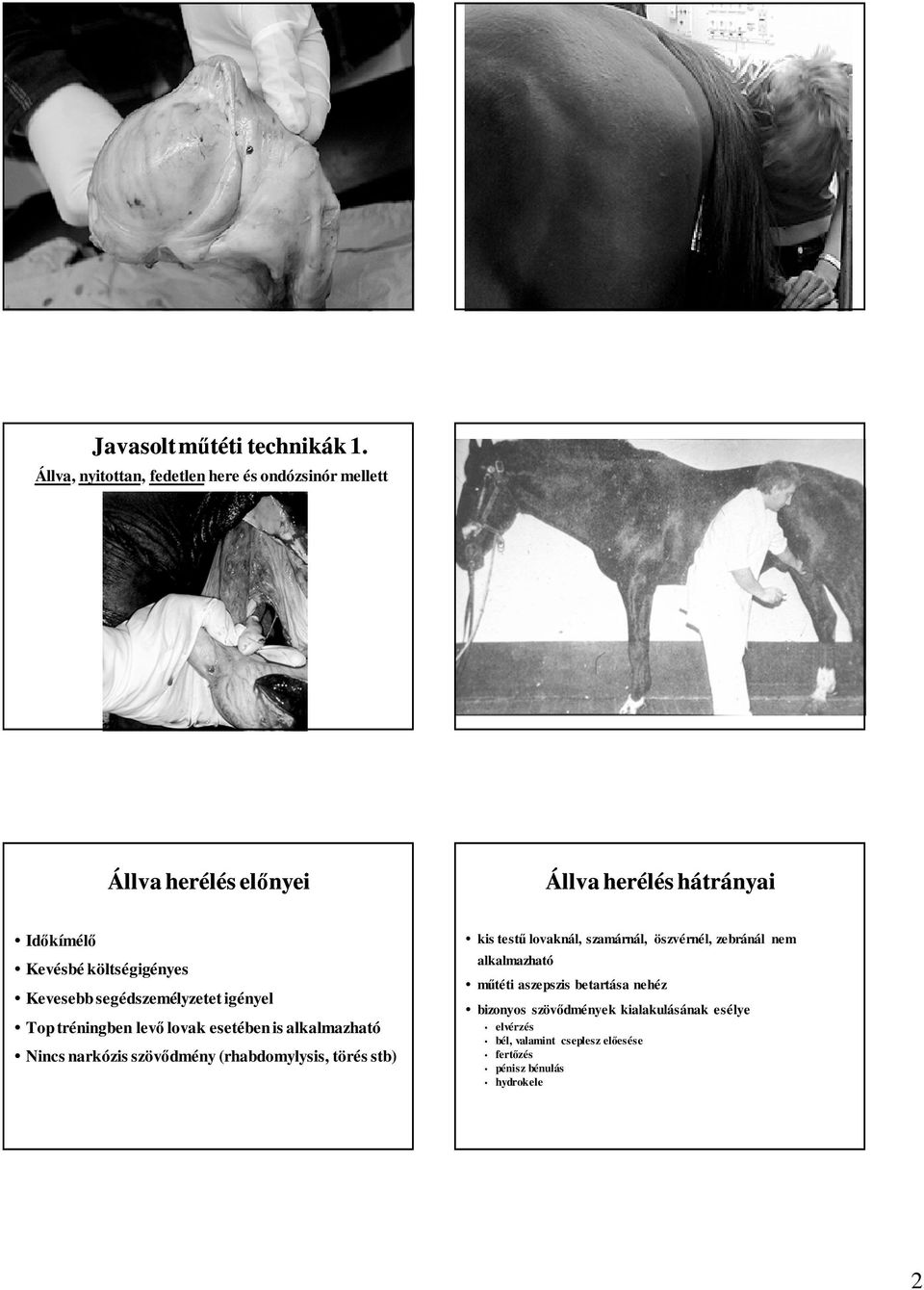 költségigényes Kevesebb segédszemélyzetet igényel Top tréningben levő lovak esetében is alkalmazható Nincs narkózis szövődmény