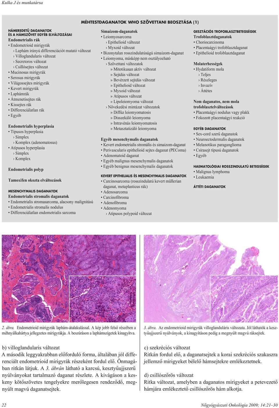 Gasztrointesztinális sztróma tumor (GIST) | budapestfoglyai.hu