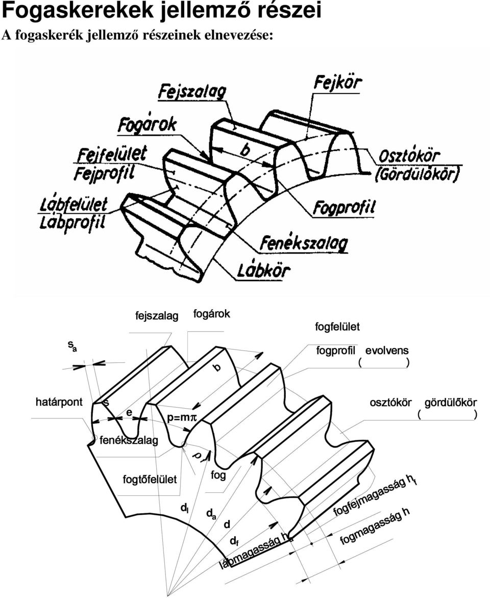 b határpont s e p=mπ osztókör ( görd g rdülőkör ) fenékszalag