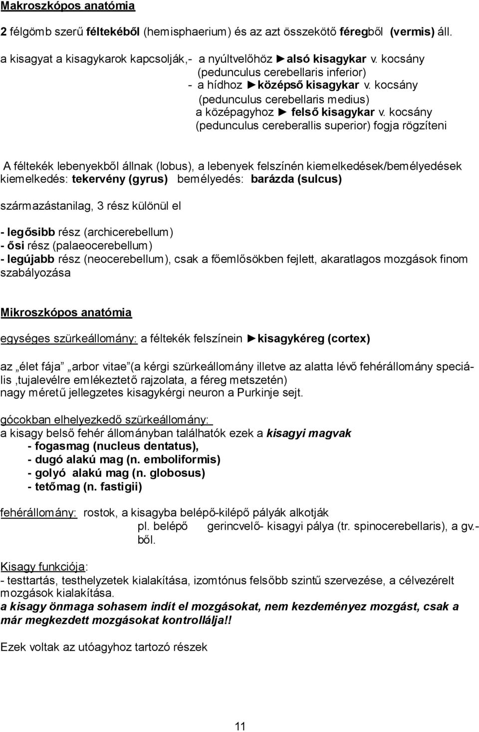 kocsány (pedunculus cereberallis superior) fogja rögzíteni A féltekék lebenyekből állnak (lobus), a lebenyek felszínén kiemelkedések/bemélyedések kiemelkedés: tekervény (gyrus) bemélyedés: barázda