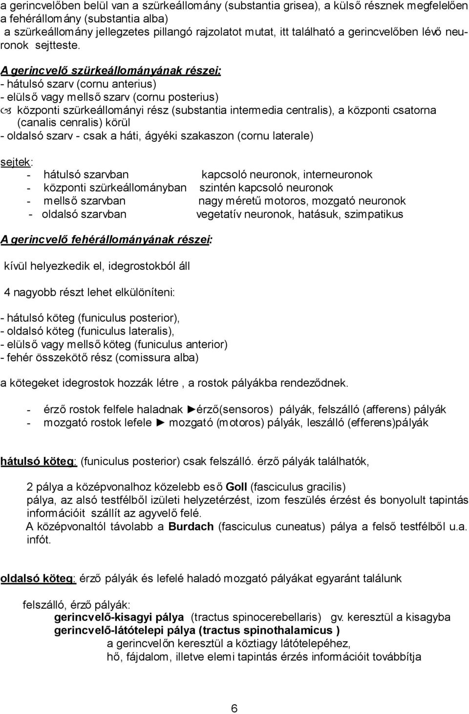 A gerincvelőszürkeállományának részei: - hátulsó szarv (cornu anterius) - elülsővagy mellsőszarv (cornu posterius) központi szürkeállományi rész (substantia intermedia centralis), a központi csatorna