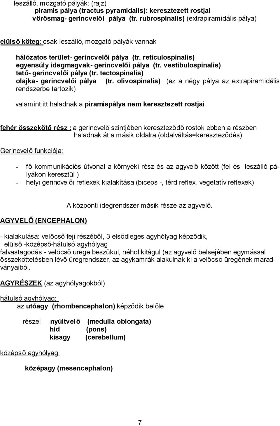 vestibulospinalis) tető- gerincvelői pálya (tr. tectospinalis) olajka- gerincvelői pálya (tr.
