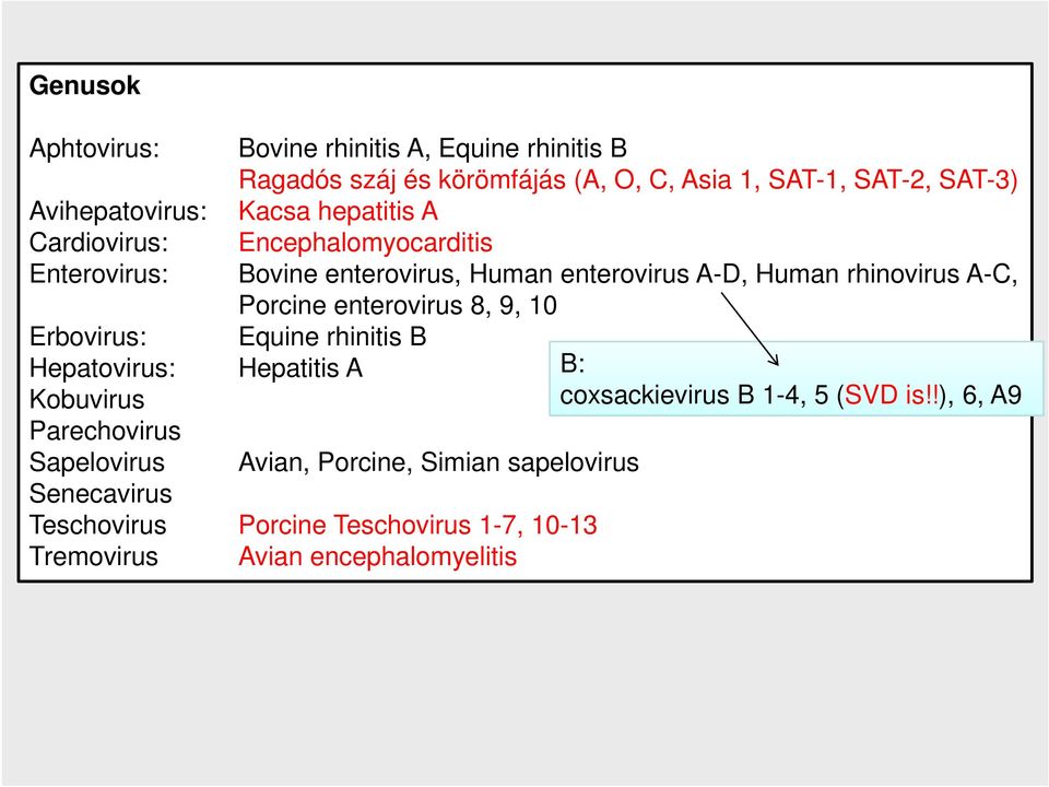 Porcine enterovirus 8, 9, 10 Equine rhinitis B Hepatitis A B: coxsackievirus B 1-4, 5 (SVD is!