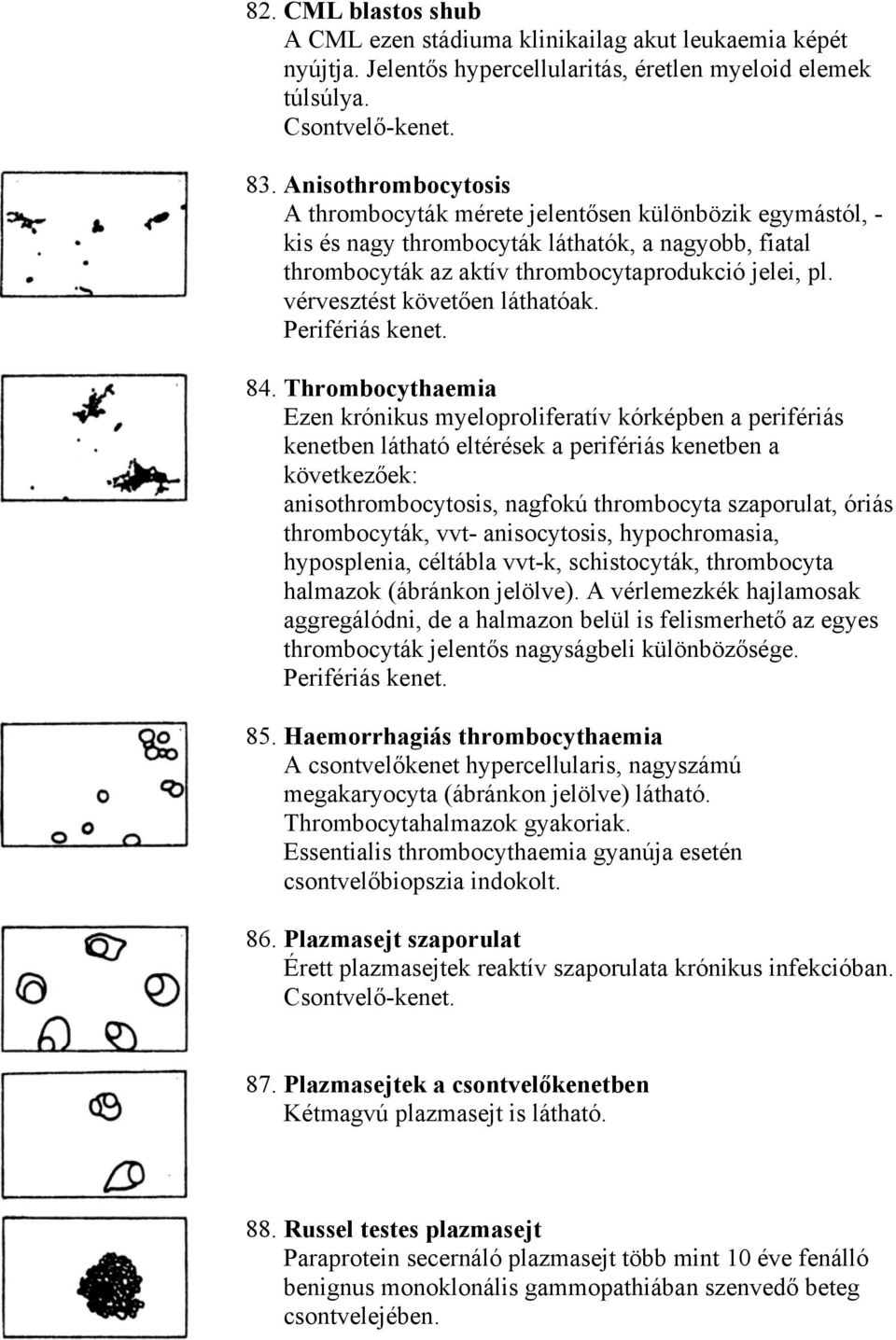 vérvesztést követően láthatóak. 84.