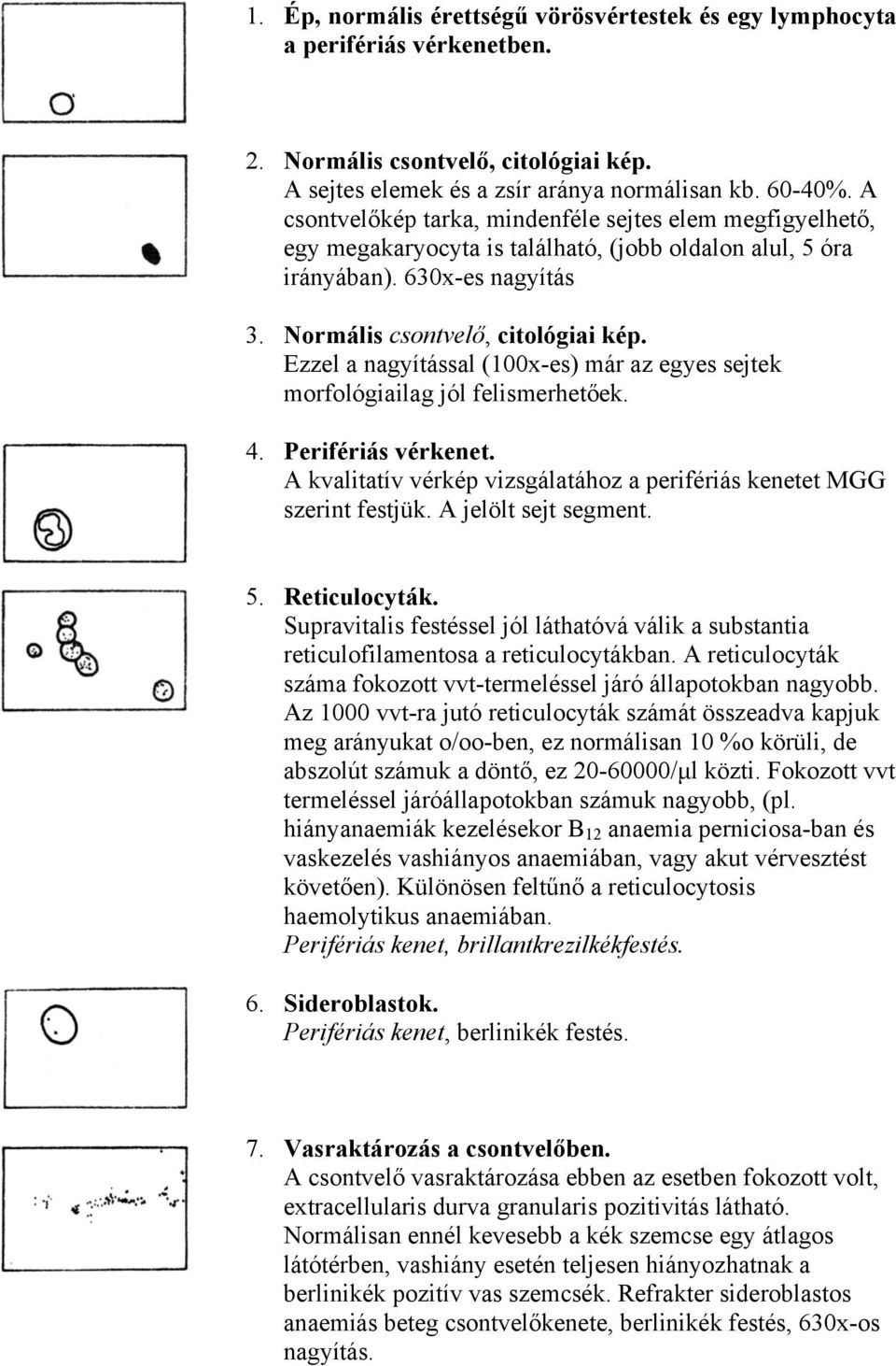 Semmelweis Egyetem I.sz. Belgyógyászati Klinika HEMATOLÓGIAI DIASOROZAT -  PDF Free Download