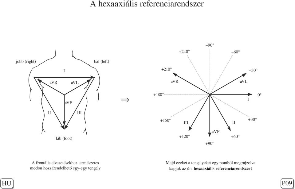 elvezetésekhez természetes módon hozzárendelhető egy-egy tengely Majd ezeket a