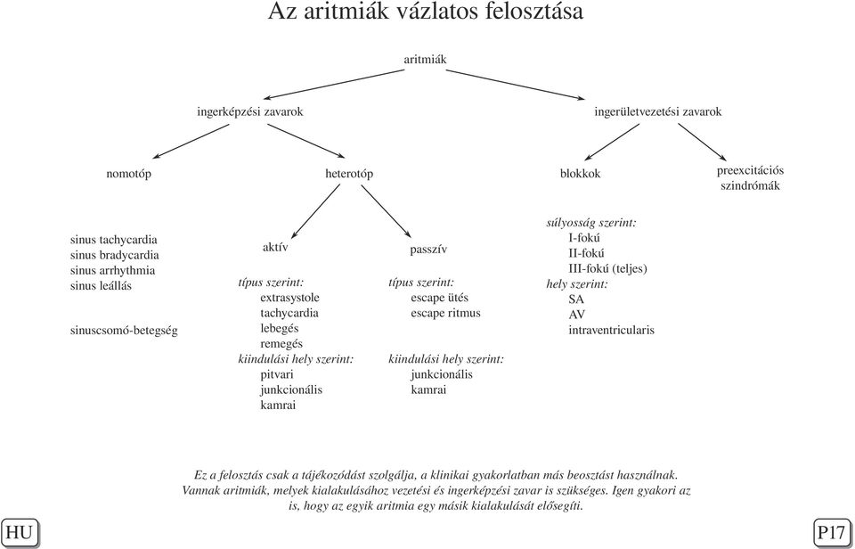 súlyosság szerint: I-fokú II-fokú III-fokú (teljes) hely szerint: SA AV intraventricularis kiindulási hely szerint: junkcionális kamrai Ez a felosztás csak a tájékozódást szolgálja, a klinikai