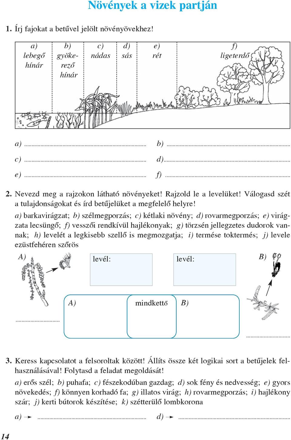 a) barkavirágzat; b) szélmegporzás; c) kétlaki növény; d) rovarmegporzás; e) virágzata lecsüngõ; f) vesszõi rendkívül hajlékonyak; g) törzsén jellegzetes dudorok vannak; h) levelét a legkisebb szellõ