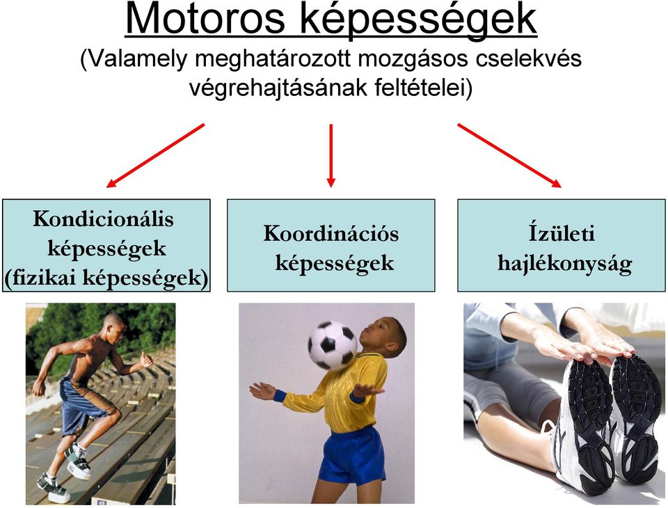 Motoros képességek (Valamely meghatározott mozgásos cselekvés  végrehajtásának feltételei) - PDF Ingyenes letöltés