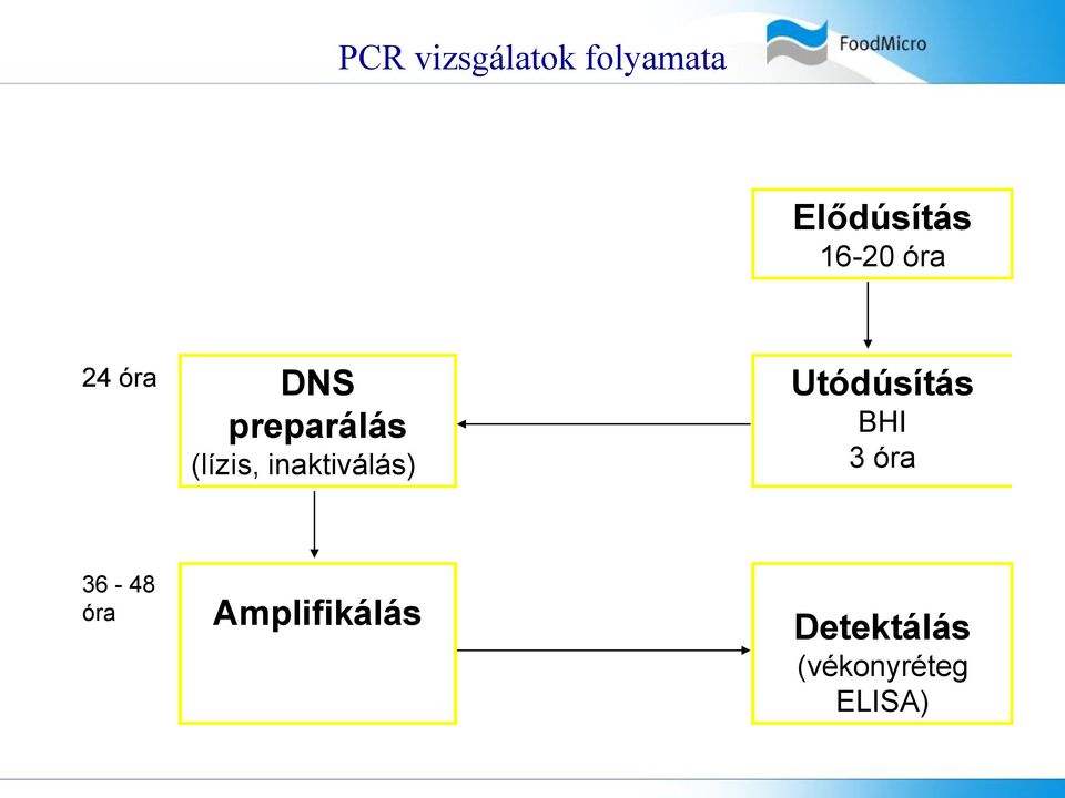 inaktiválás) Utódúsítás BHI 3 óra 36-48