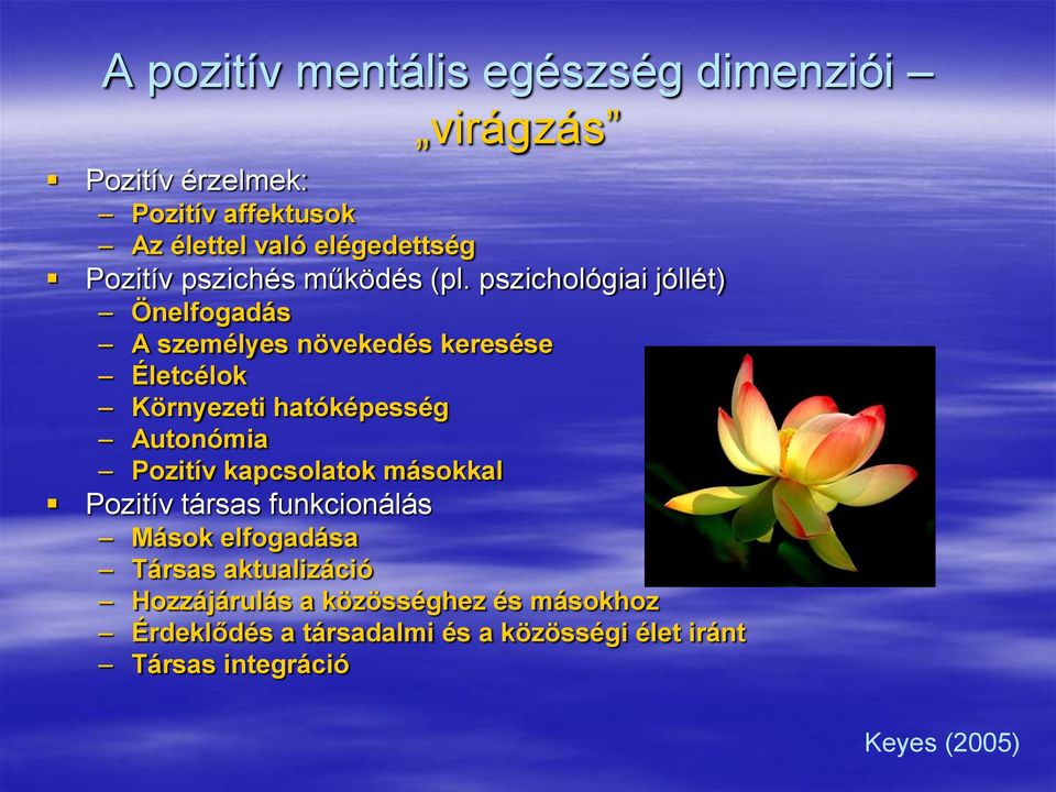 pszichológiai jóllét) Önelfogadás A személyes növekedés keresése Életcélok Környezeti hatóképesség Autonómia Pozitív