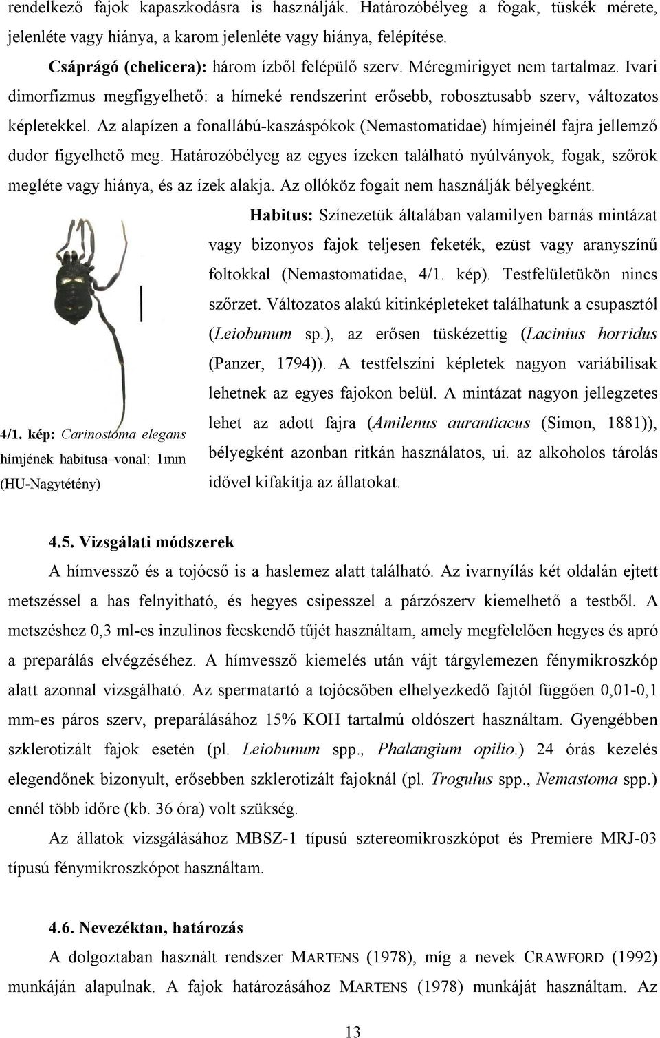 Az alapízen a fonallábú-kaszáspókok (Nemastomatidae) hímjeinél fajra jellemző dudor figyelhető meg.