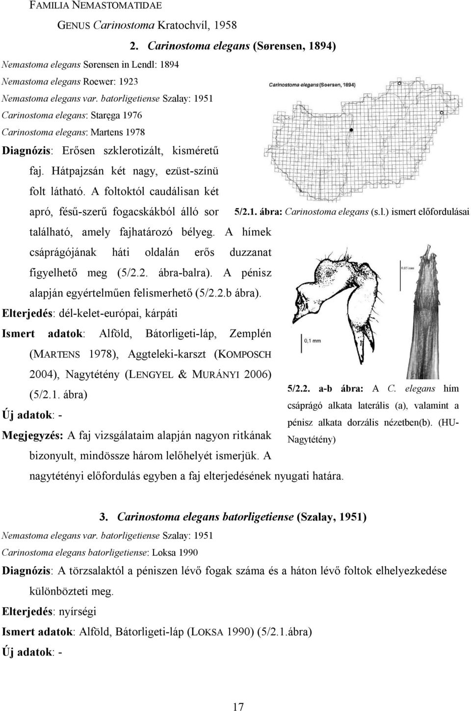 A foltoktól caudálisan két apró, fésű-szerű fogacskákból álló sor 5/2.1. ábra: Carinostoma elegans (s.l.) ismert előfordulásai található, amely fajhatározó bélyeg.