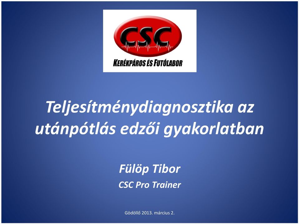 gyakorlatban Fülöp Tibor