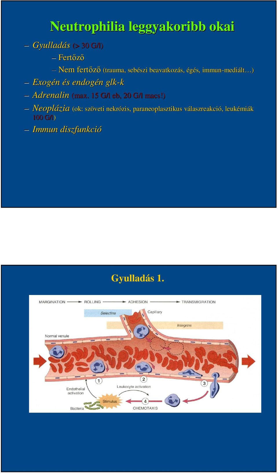 ) Neoplázia (ok: szöveti nekrózis, paraneoplasztikus 100 G/l) Immun diszfunkció (trauma,