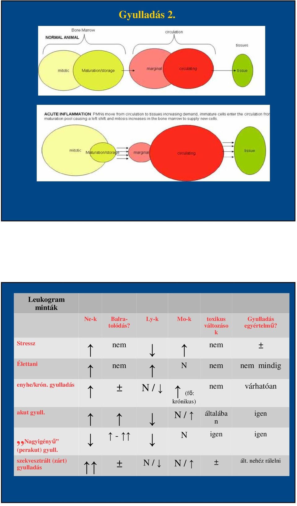 nem nem ± Ly-k Mo-k toxikus változáso k N / (fő: krónikus) Gyulladás egyértelmű?
