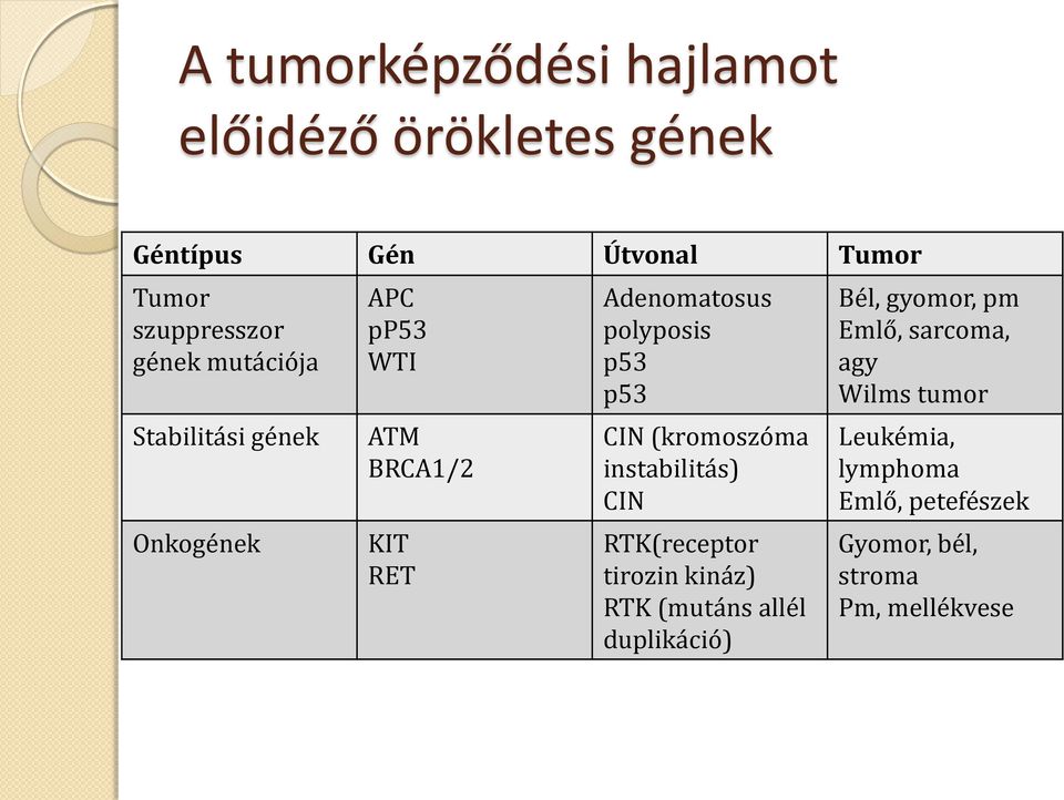 CIN (kromoszóma instabilitás) CIN RTK(receptor tirozin kináz) RTK (mutáns allél duplikáció) Bél,