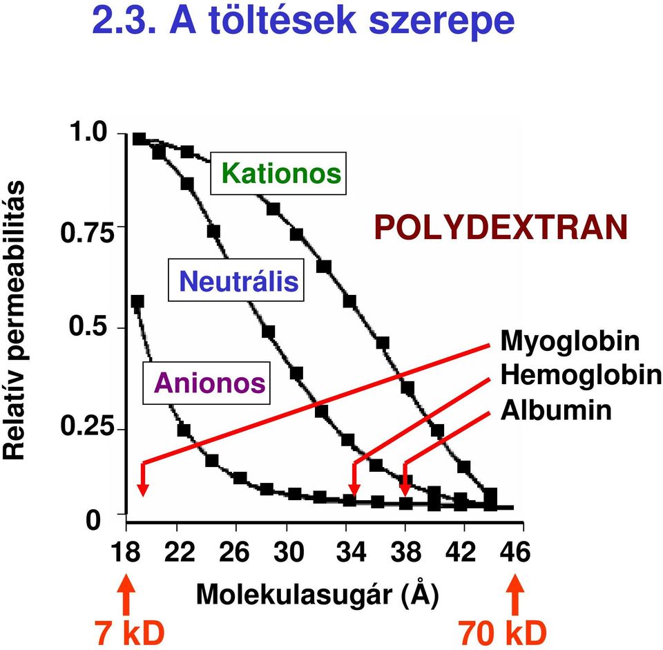 5 0.25 Kationos Neutrális Anionos POLYDEXTRAN