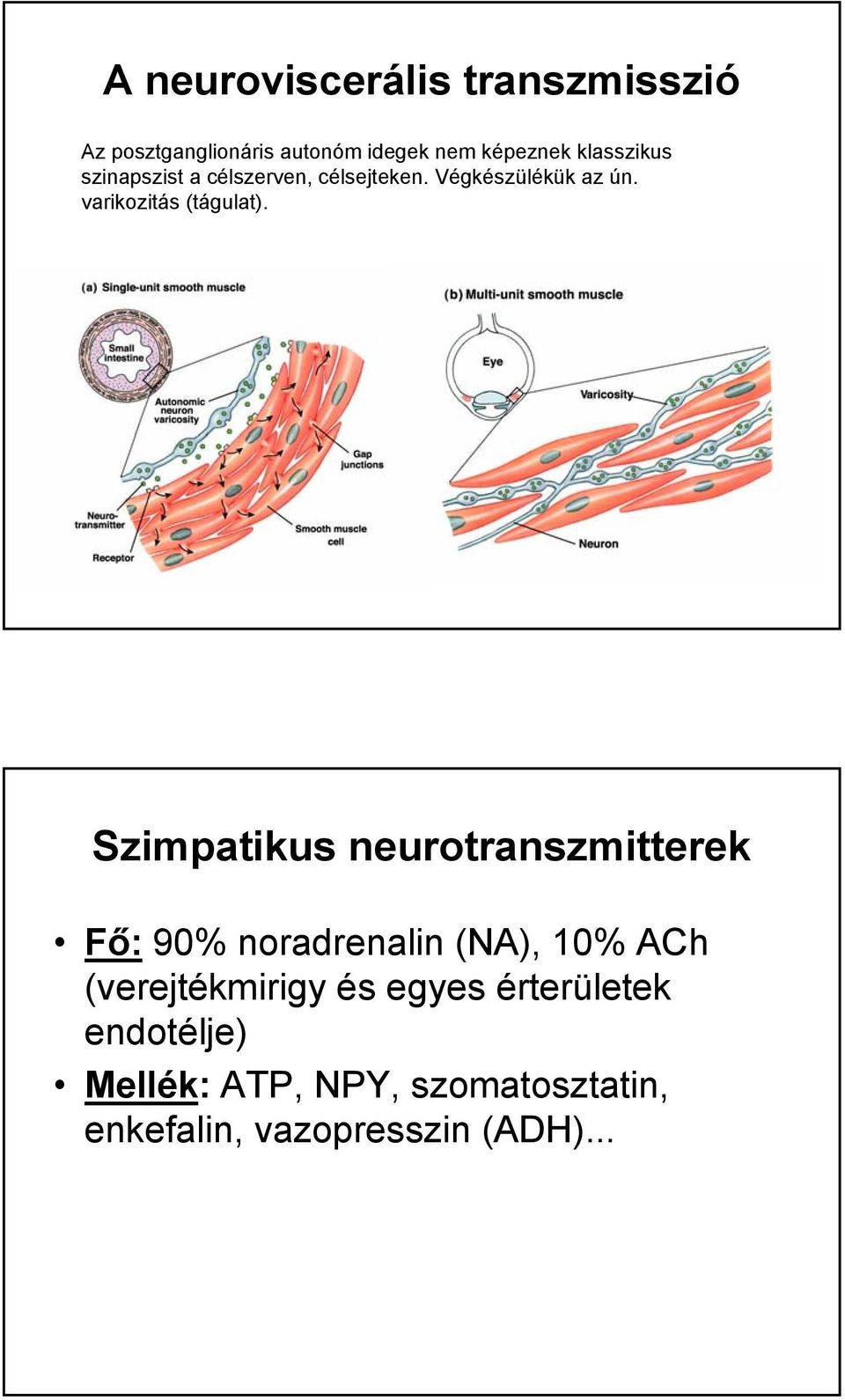 varikozitás (tágulat).