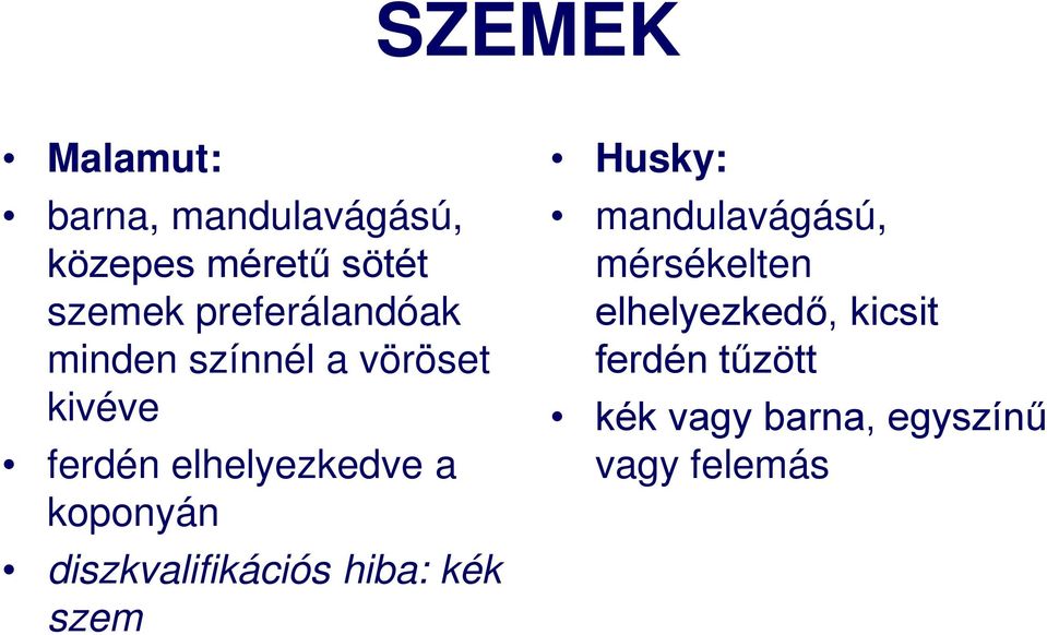 koponyán diszkvalifikációs hiba: kék szem Husky: mandulavágású,