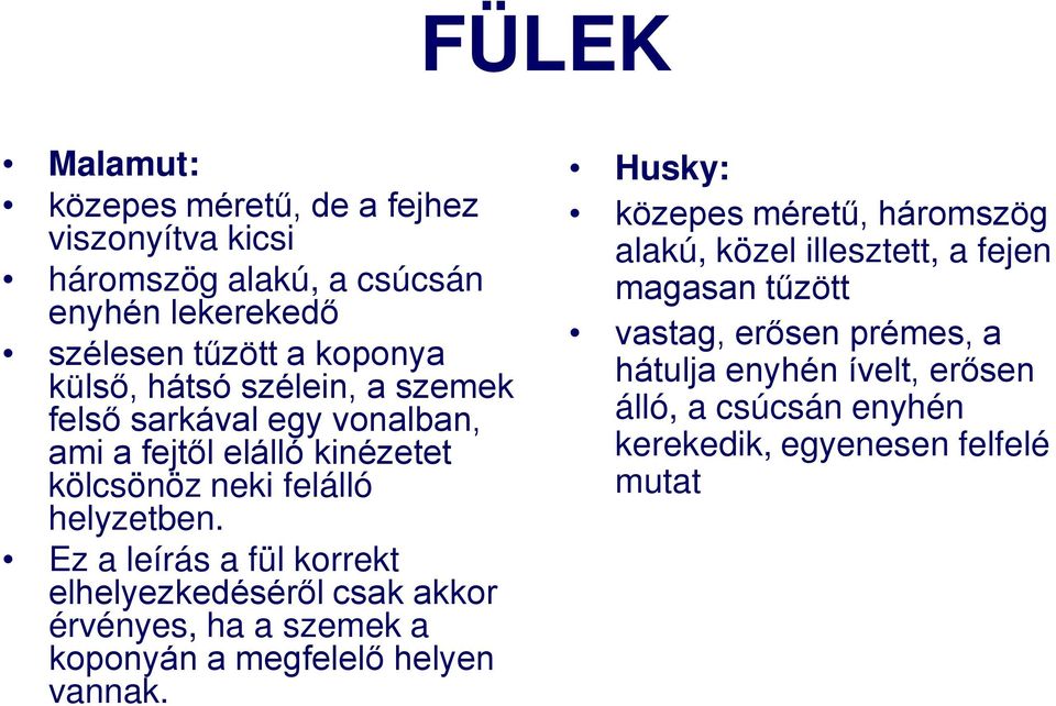 Ez a leírás a fül korrekt elhelyezkedéséről csak akkor érvényes, ha a szemek a koponyán a megfelelő helyen vannak.