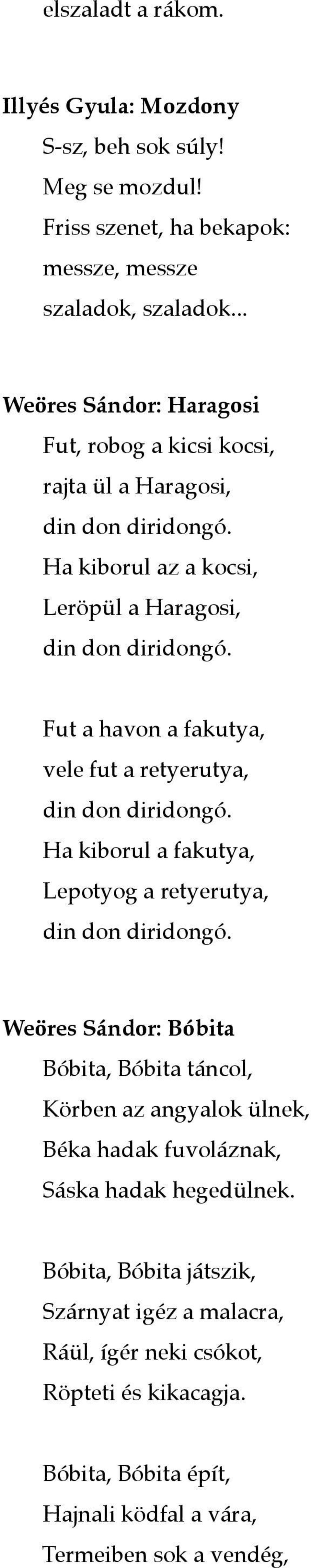 Fut a havon a fakutya, vele fut a retyerutya, din don diridongó. Ha kiborul a fakutya, Lepotyog a retyerutya, din don diridongó.