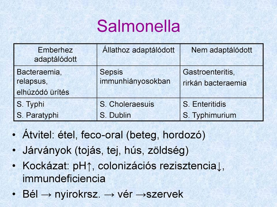 Dublin Nem adaptálódott Gastroenteritis, rirkán bacteraemia S. Enteritidis S.