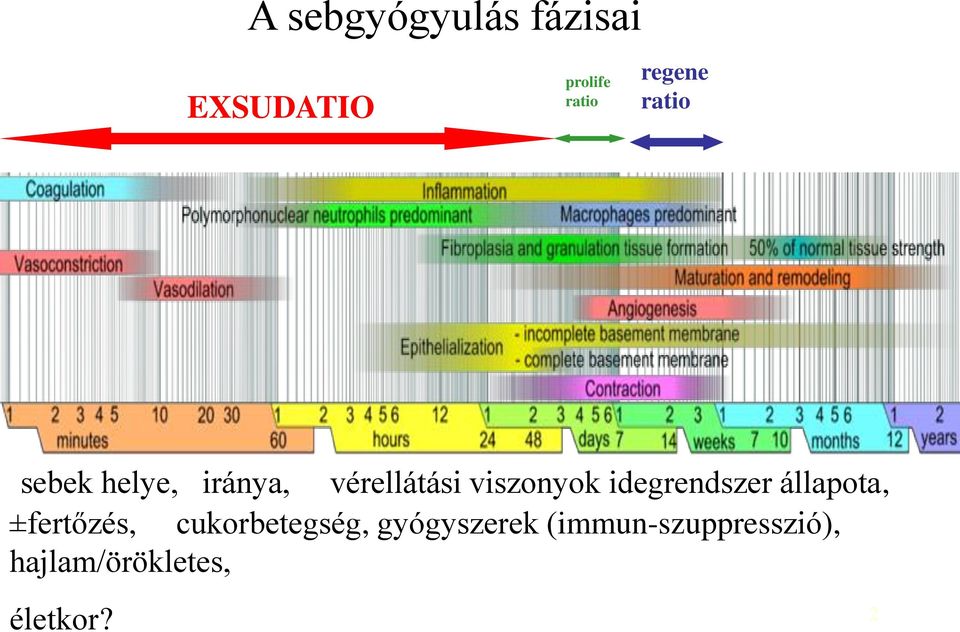 idegrendszer állapota, ±fertőzés, cukorbetegség,