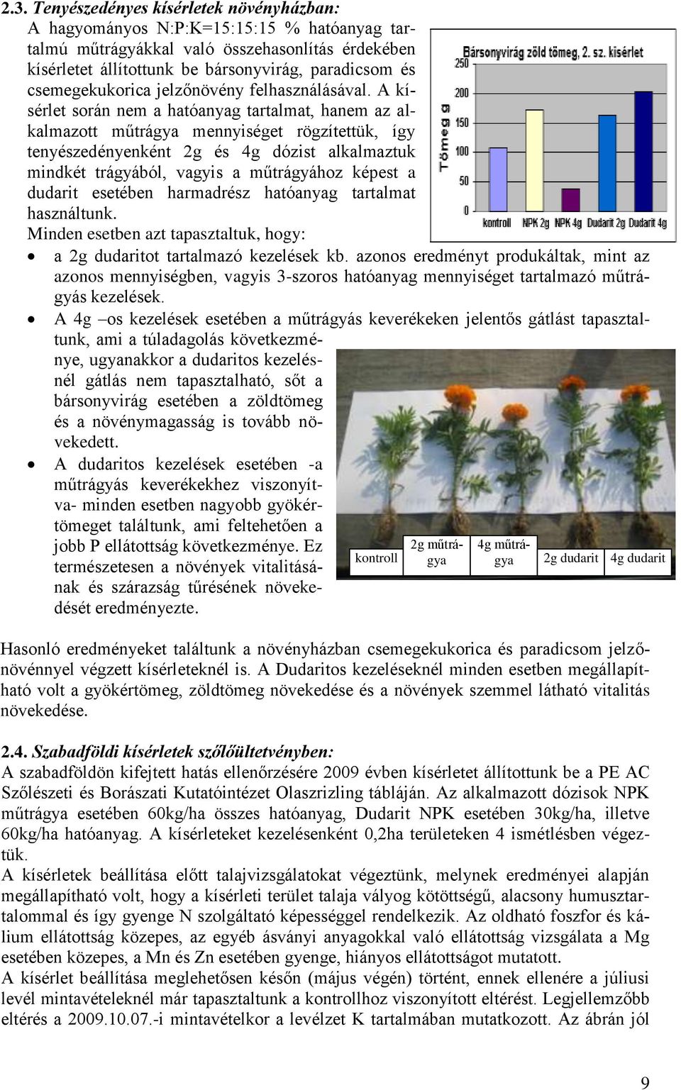 A kísérlet során nem a hatóanyag tartalmat, hanem az alkalmazott műtrágya mennyiséget rögzítettük, így tenyészedényenként 2g és 4g dózist alkalmaztuk mindkét trágyából, vagyis a műtrágyához képest a