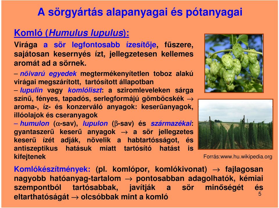 íz- és konzerváló anyagok: keserűanyagok, illóolajok és cseranyagok humulon (α-sav), lupulon (β-sav) és származékai: gyantaszerű keserű anyagok a sör jellegzetes keserű ízét adják, növelik a