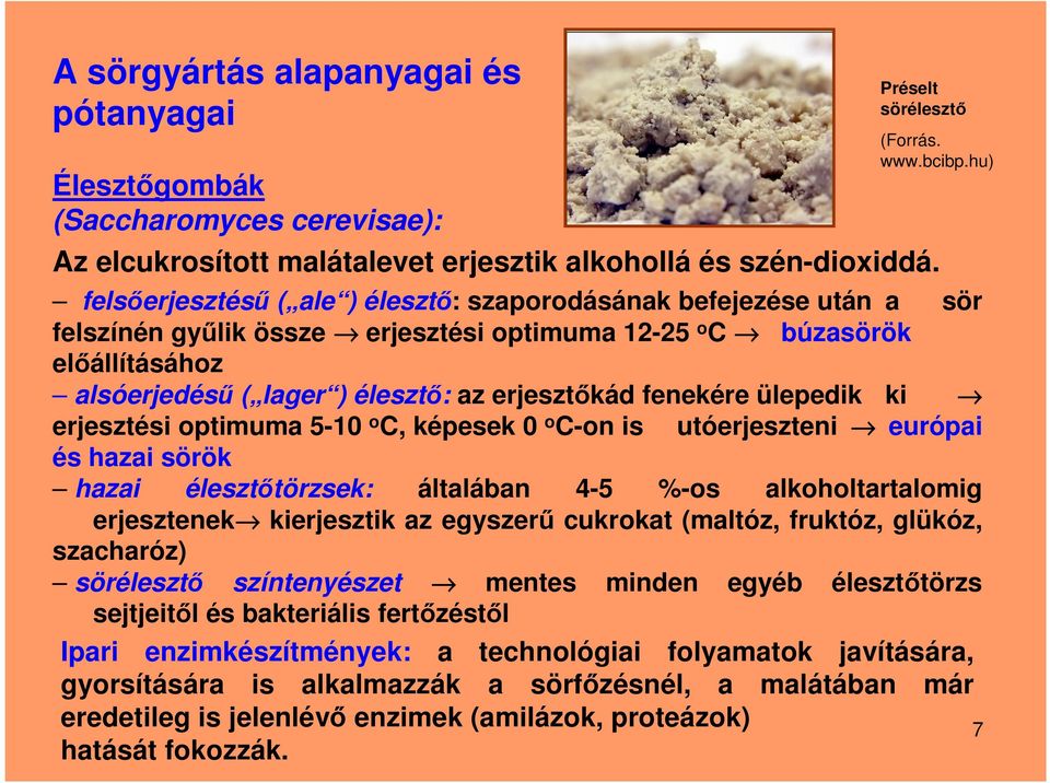 fenekére ülepedik ki erjesztési optimuma 5-10 o C, képesek 0 o C-on is utóerjeszteni európai és hazai sörök hazai élesztőtörzsek: általában 4-5 %-os alkoholtartalomig erjesztenek kierjesztik az