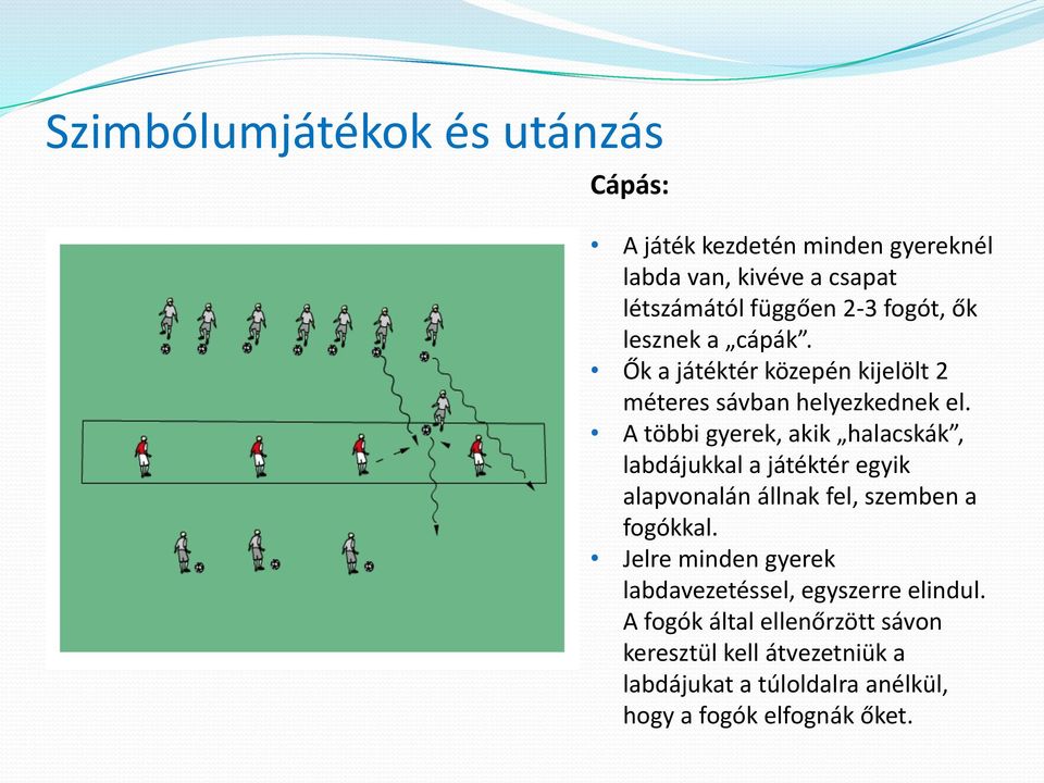 A többi gyerek, akik halacskák, labdájukkal a játéktér egyik alapvonalán állnak fel, szemben a fogókkal.