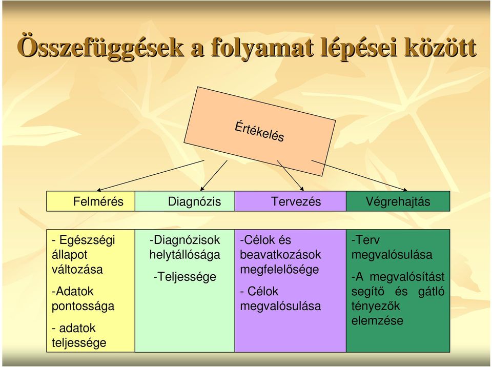 -Diagnózisok helytállósága -Teljessége -Célok és beavatkozások megfelelısége -