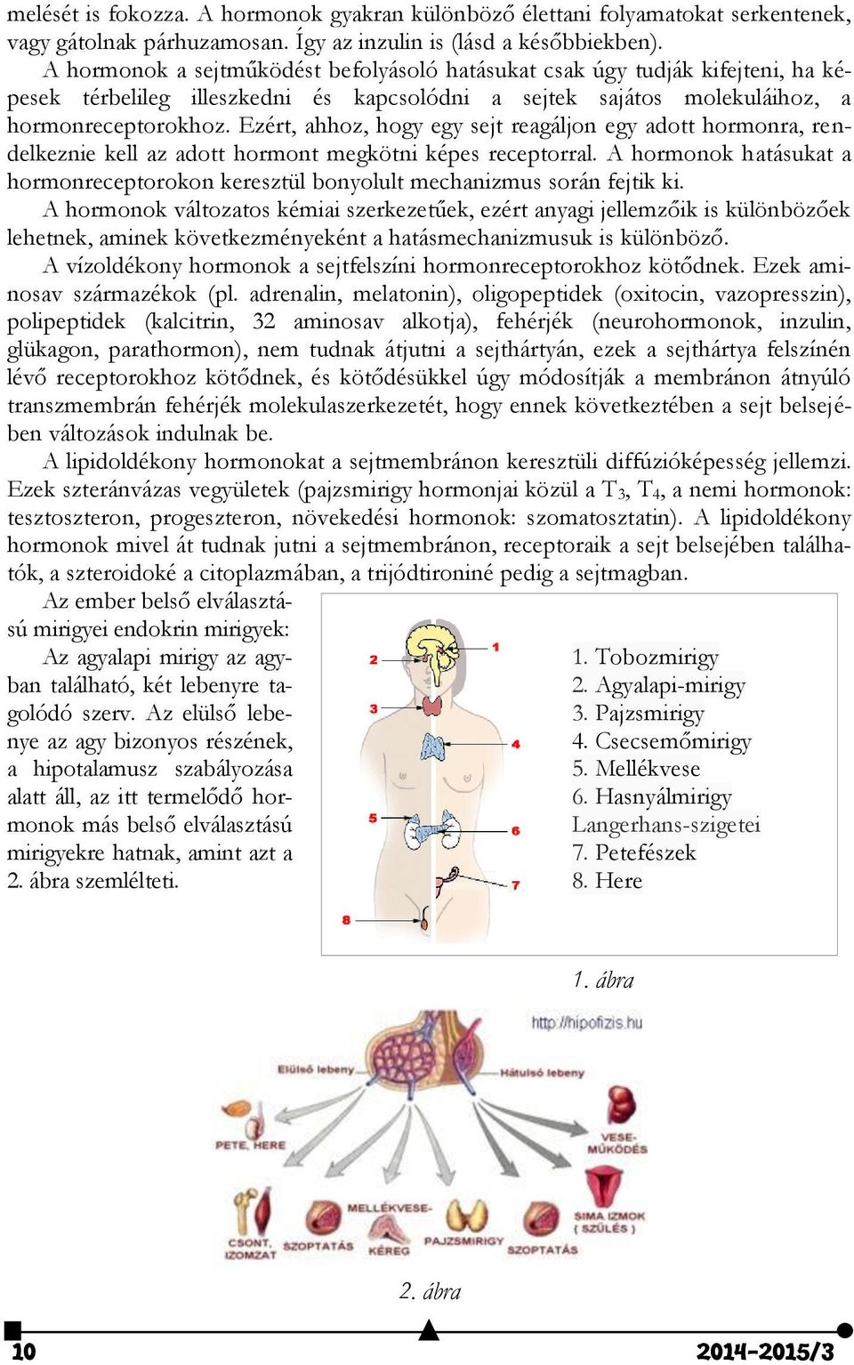 Ezért, ahhoz, hogy egy sejt reagáljon egy adott hormonra, rendelkeznie kell az adott hormont megkötni képes receptorral.