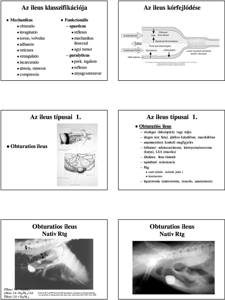 Az ileus típusai 1.