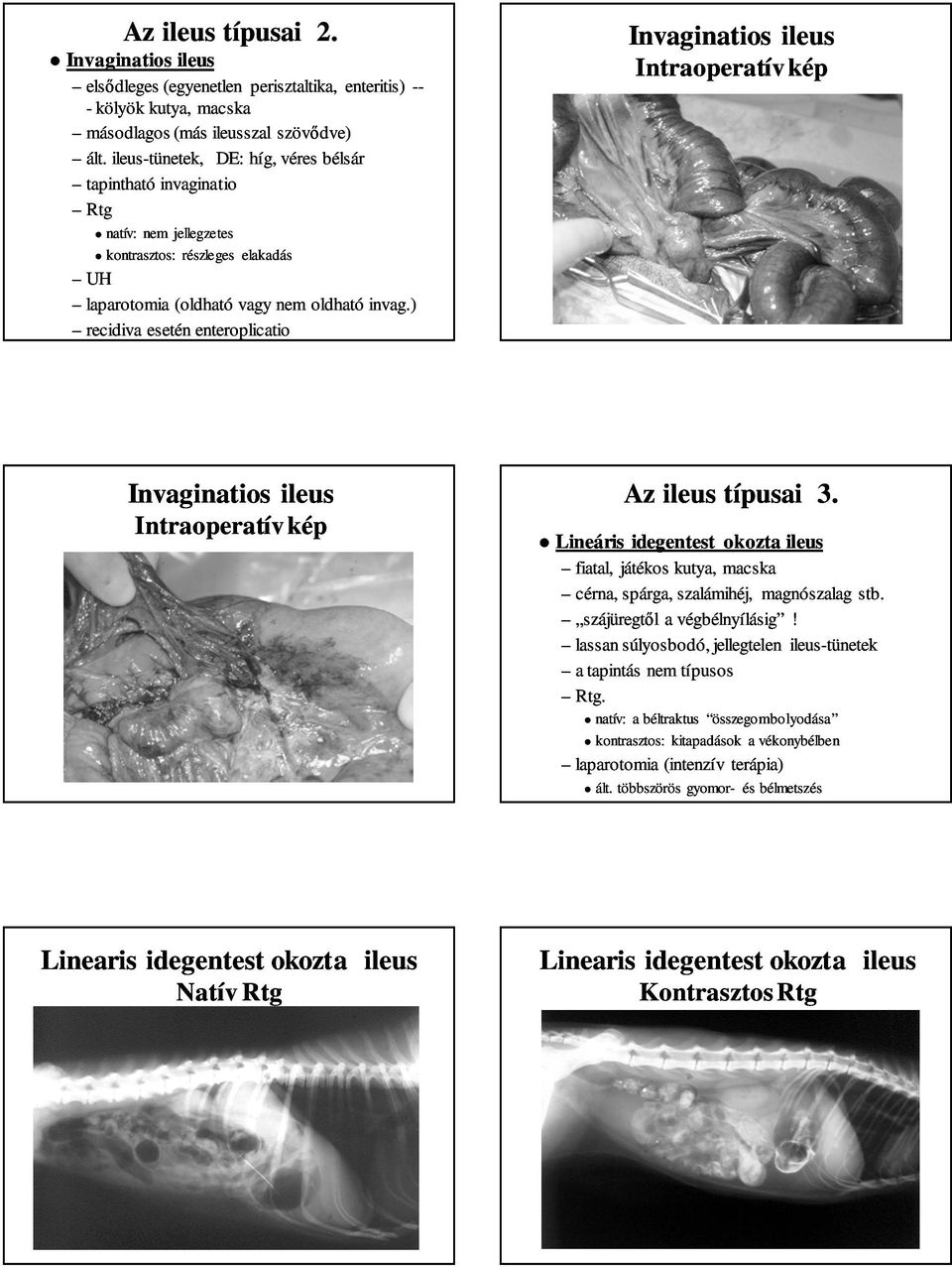 ) recidiva esetén enteroplicatio Az ileus típusai 3. Lineáris idegentest okozta ileus fiatal, játékos kutya, macska cérna, spárga, szalámihéj, magnószalag stb. szájüregtől a végbélnyílásig!