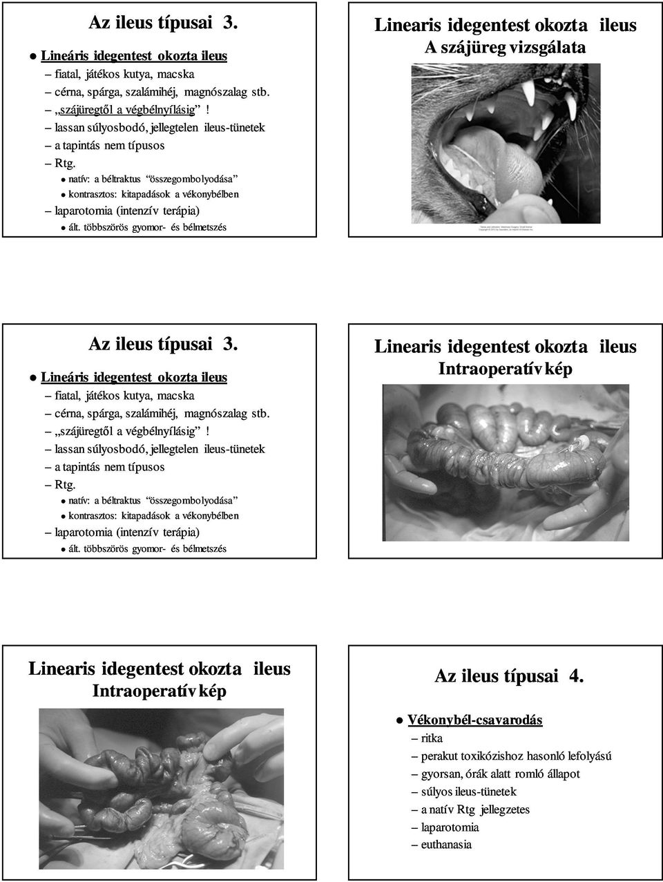 többszörös gyomor- és bélmetszés Linearis idegentest okozta ileus A szájüreg vizsgálata   többszörös gyomor- és bélmetszés Linearis idegentest okozta ileus Linearis idegentest okozta ileus Az ileus