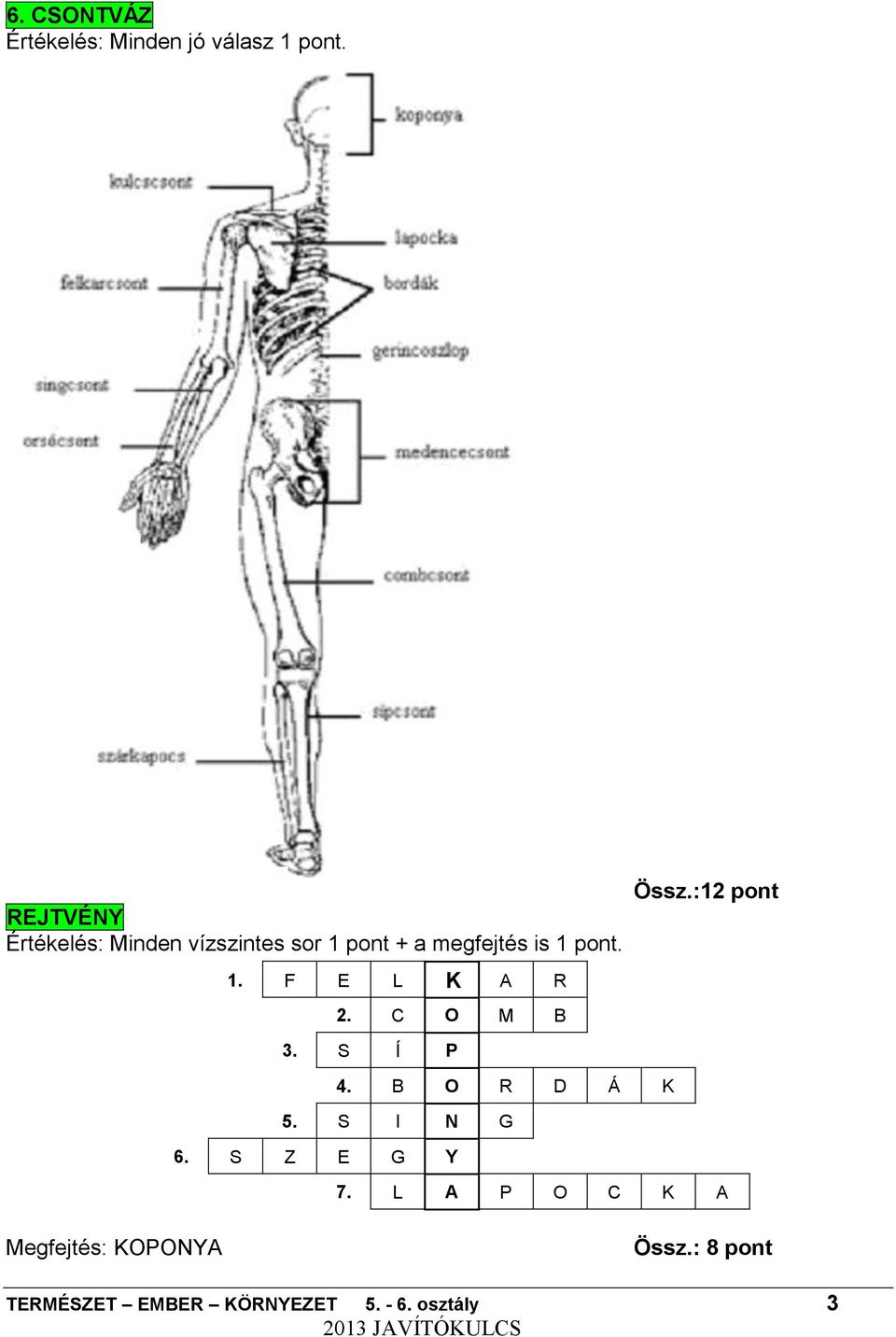 C O M B 3. S Í P 4. B O R D Á K 5. S I N G 6. S Z E G Y Össz.:12 pont 7.