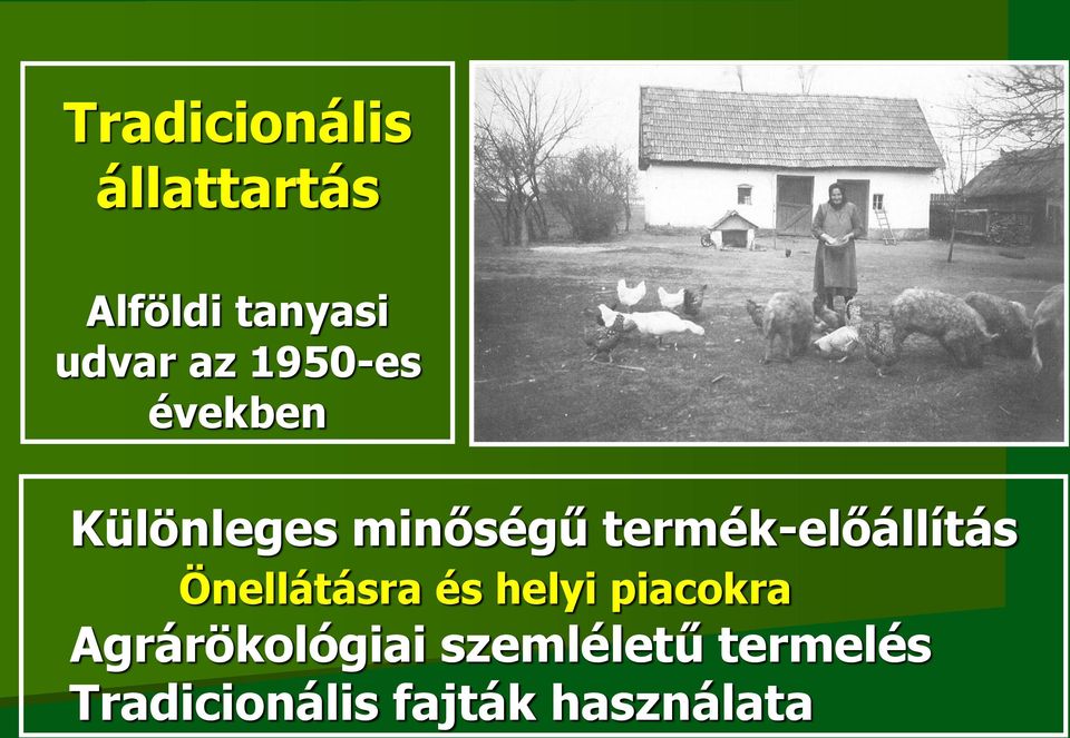 termék-előállítás Önellátásra és helyi piacokra