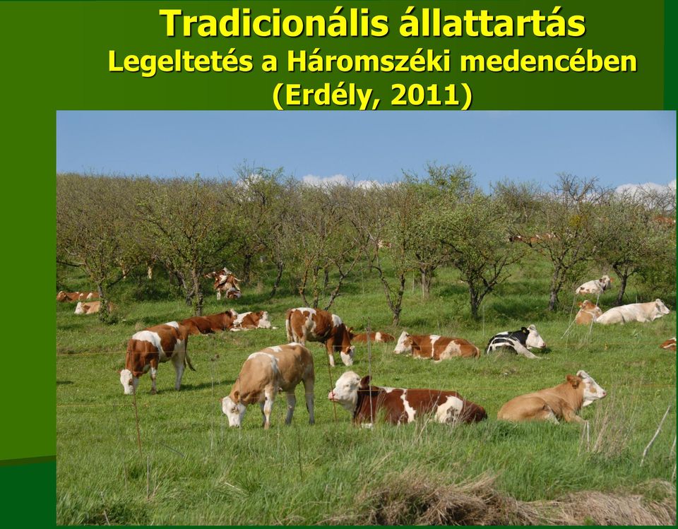 Legeltetés a