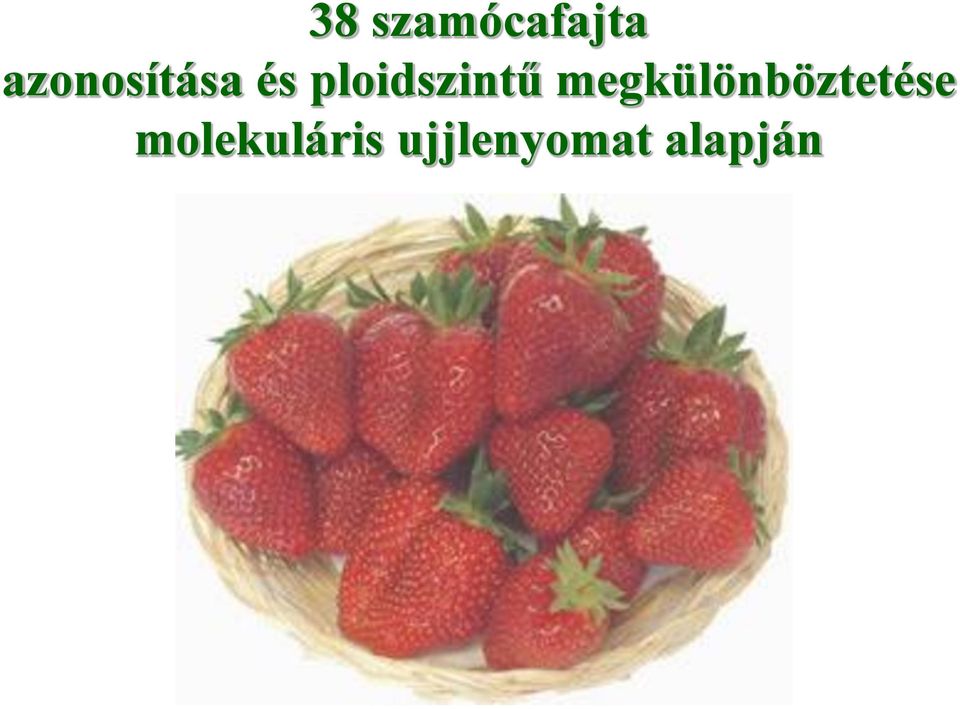 ploidszintű