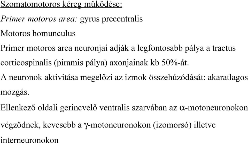 A neuronok aktivitása megelőzi az izmok összehúzódását: akaratlagos mozgás.